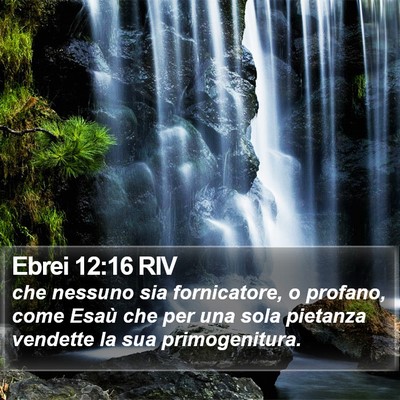 Ebrei 12:16 RIV Bible Verse Image