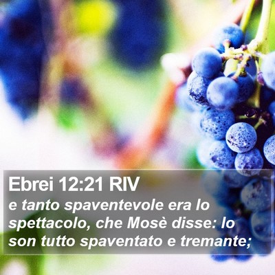 Ebrei 12:21 RIV Bible Verse Image