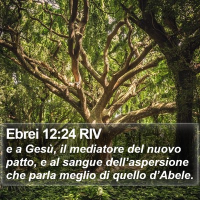 Ebrei 12:24 RIV Bible Verse Image