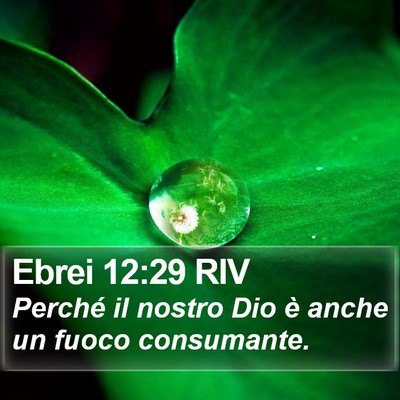 Ebrei 12:29 RIV Bible Verse Image