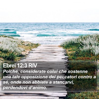 Ebrei 12:3 RIV Bible Verse Image