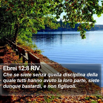 Ebrei 12:8 RIV Bible Verse Image