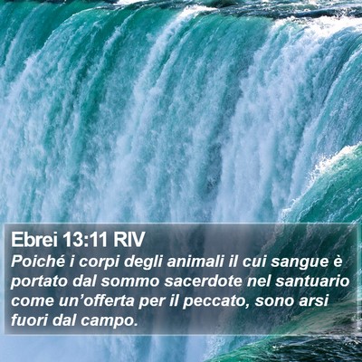 Ebrei 13:11 RIV Bible Verse Image
