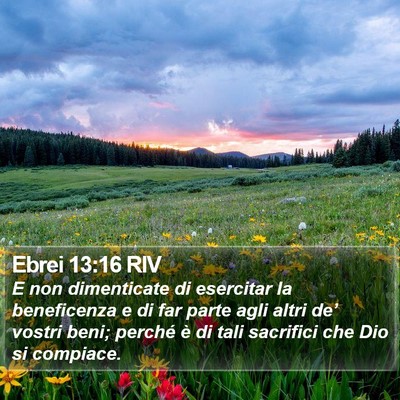 Ebrei 13:16 RIV Bible Verse Image