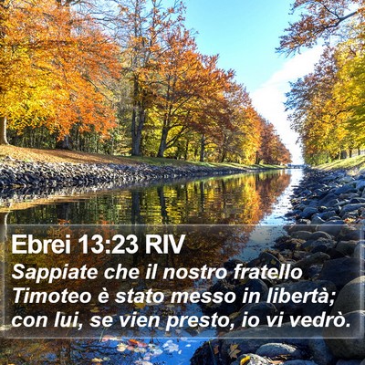 Ebrei 13:23 RIV Bible Verse Image
