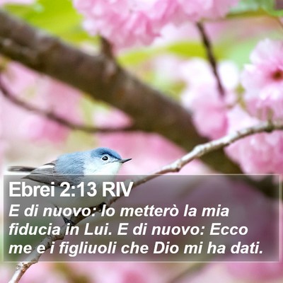 Ebrei 2:13 RIV Bible Verse Image