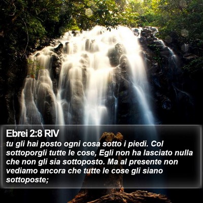 Ebrei 2:8 RIV Bible Verse Image