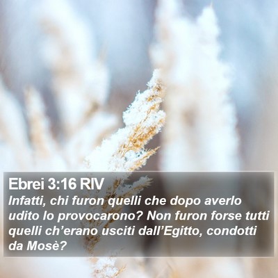 Ebrei 3:16 RIV Bible Verse Image
