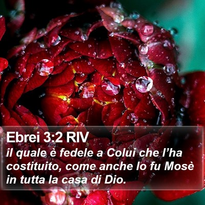 Ebrei 3:2 RIV Bible Verse Image