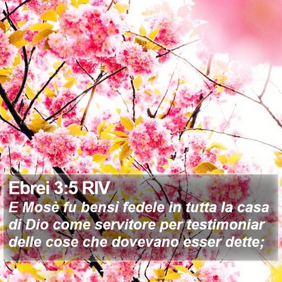 Ebrei 3:5 RIV Bible Verse Image