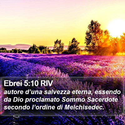 Ebrei 5:10 RIV Bible Verse Image