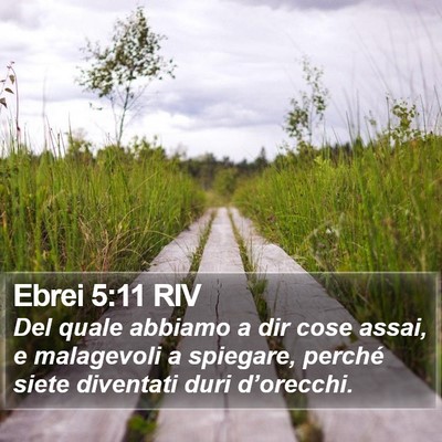 Ebrei 5:11 RIV Bible Verse Image