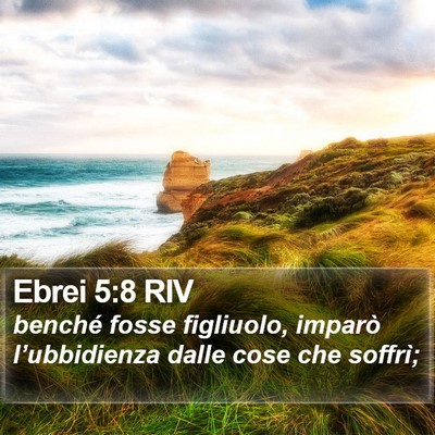 Ebrei 5:8 RIV Bible Verse Image