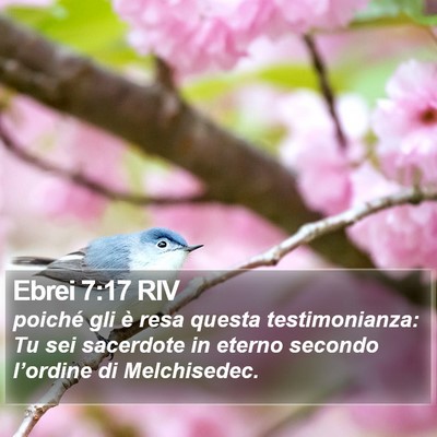Ebrei 7:17 RIV Bible Verse Image