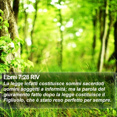 Ebrei 7:28 RIV Bible Verse Image