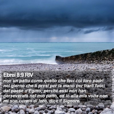 Ebrei 8:9 RIV Bible Verse Image
