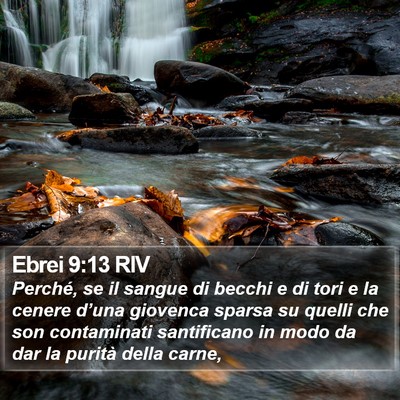 Ebrei 9:13 RIV Bible Verse Image