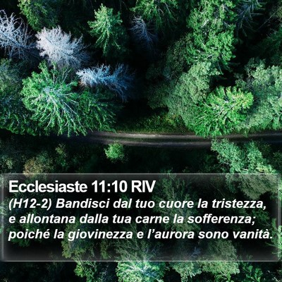 Ecclesiaste 11:10 RIV Bible Verse Image