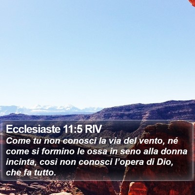 Ecclesiaste 11:5 RIV Bible Verse Image