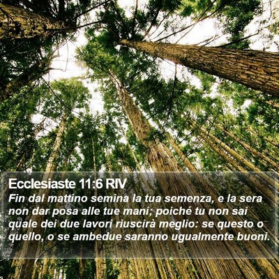 Ecclesiaste 11:6 RIV Bible Verse Image
