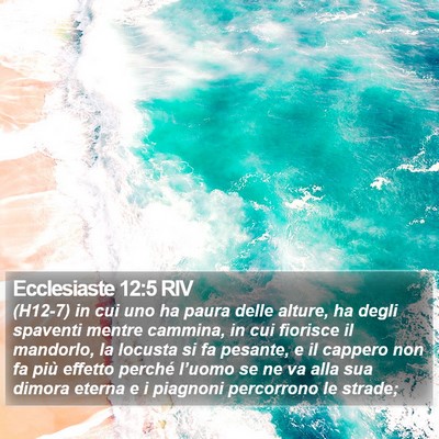 Ecclesiaste 12:5 RIV Bible Verse Image