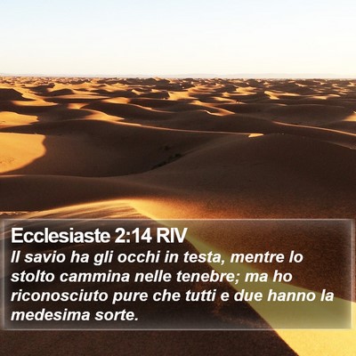 Ecclesiaste 2:14 RIV Bible Verse Image