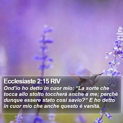 Ecclesiaste 2:15 RIV Bible Verse Image