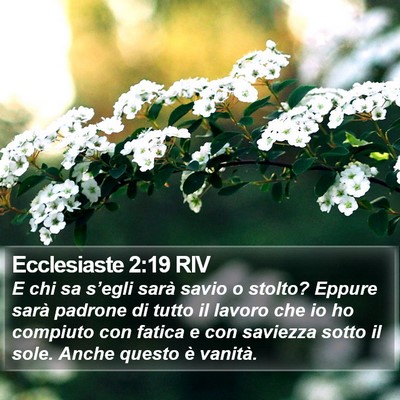 Ecclesiaste 2:19 RIV Bible Verse Image