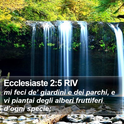 Ecclesiaste 2:5 RIV Bible Verse Image