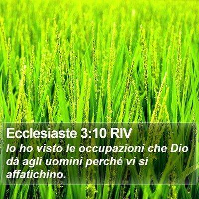 Ecclesiaste 3:10 RIV Bible Verse Image