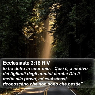 Ecclesiaste 3:18 RIV Bible Verse Image