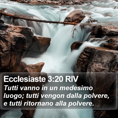 Ecclesiaste 3:20 RIV Bible Verse Image