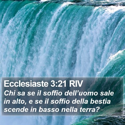 Ecclesiaste 3:21 RIV Bible Verse Image