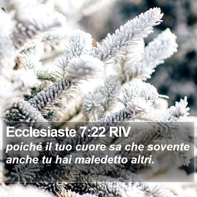 Ecclesiaste 7:22 RIV Bible Verse Image
