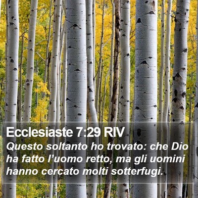 Ecclesiaste 7:29 RIV Bible Verse Image