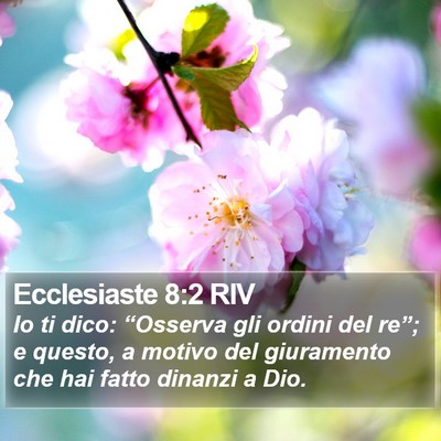 Ecclesiaste 8:2 RIV Bible Verse Image