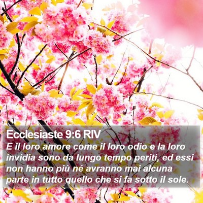 Ecclesiaste 9:6 RIV Bible Verse Image