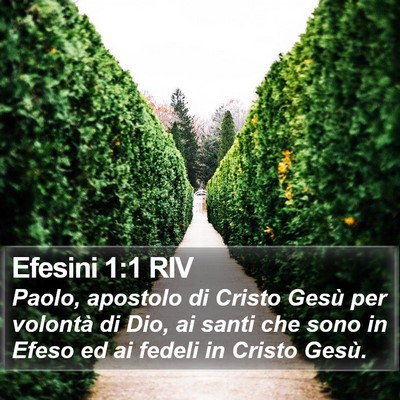 Efesini 1:1 RIV Bible Verse Image