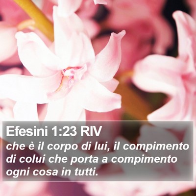 Efesini 1:23 RIV Bible Verse Image