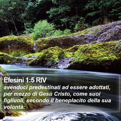 Efesini 1:5 RIV Bible Verse Image