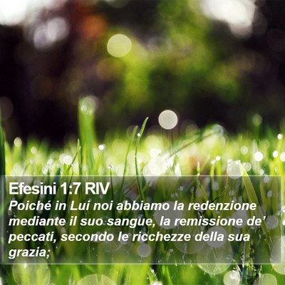 Efesini 1:7 RIV Bible Verse Image