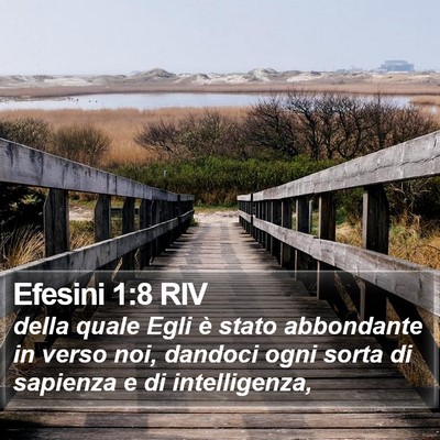 Efesini 1:8 RIV Bible Verse Image