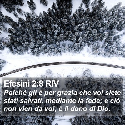 Efesini 2:8 RIV Bible Verse Image