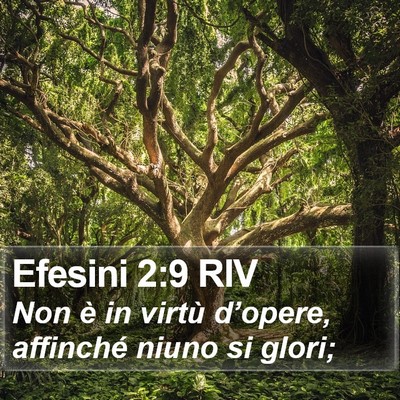 Efesini 2:9 RIV Bible Verse Image