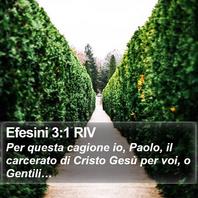 Efesini 3:1 RIV Bible Verse Image