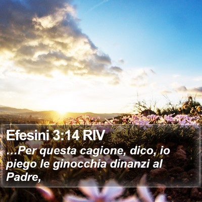 Efesini 3:14 RIV Bible Verse Image