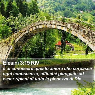 Efesini 3:19 RIV Bible Verse Image