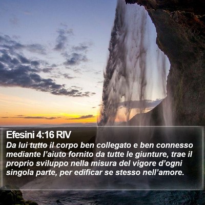 Efesini 4:16 RIV Bible Verse Image
