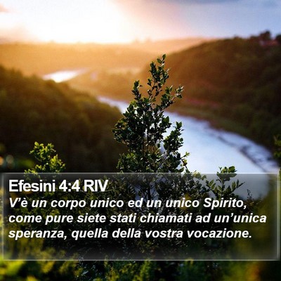 Efesini 4:4 RIV Bible Verse Image