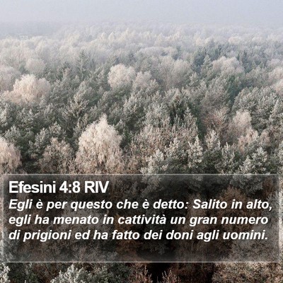 Efesini 4:8 RIV Bible Verse Image